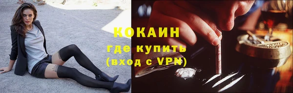 гидра Бронницы