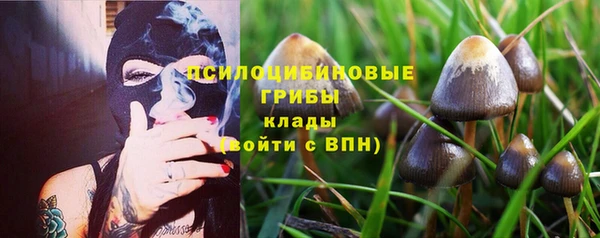 гашик Бугульма