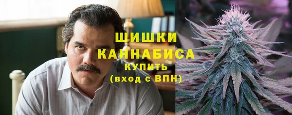 гидра Бронницы