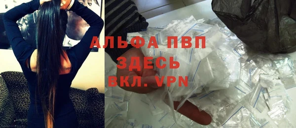 гидра Бронницы