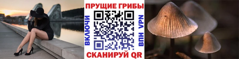 Галлюциногенные грибы GOLDEN TEACHER  Горбатов 